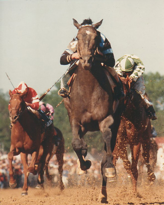 Spectacular Bid winning the 1979 Kentucky Derby, photo from thoroughbredmemories.com