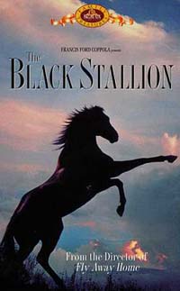 película de caballo semental negro